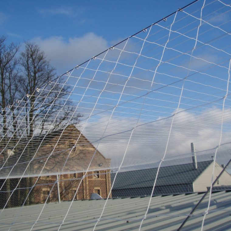 bird-netting-pest-fix-resize-e1742896397338