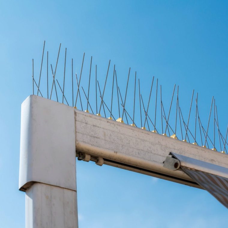 shutterstock-2013839825-spiking-resized-e1742896427363